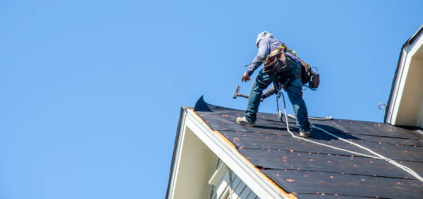 Roof Gutter Cleaning in Kingsley, MI